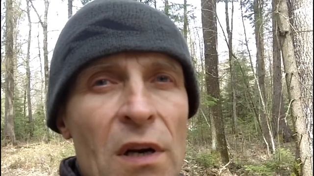 Необходимость в обязательном нахаживании лаек смотреть онлайн