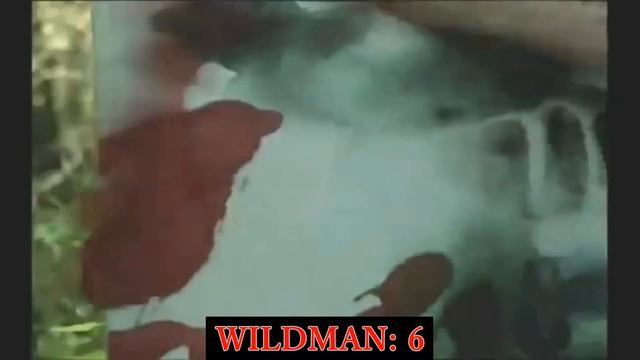 Don't Go In The Woods.... Alone! Body Count