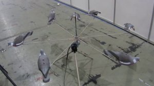 Карусель «ГОЛУБИНЫЙ ХОРОВОД»