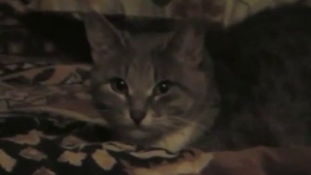 Манька глаза включи. смотреть онлайн