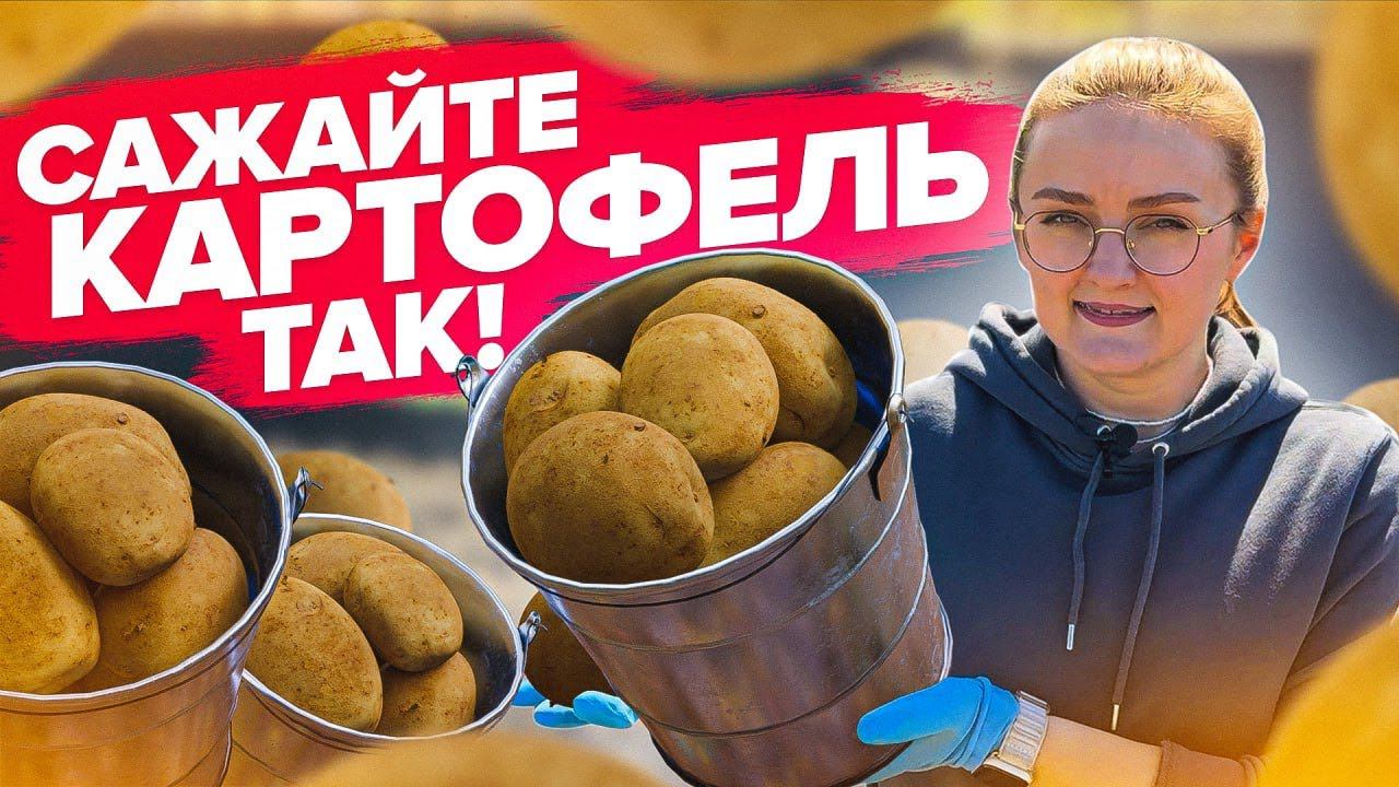 ПРОСТЫЕ ПРАВИЛА ПОСАДКИ КАРТОФЕЛЯ! смотреть онлайн