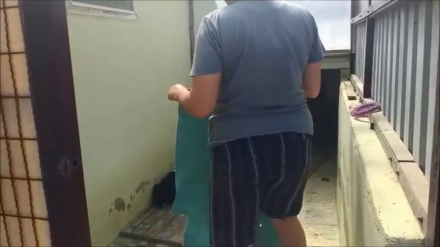 Вкусная каша из лапши на курином бульоне  Кусачий и орущий щенок стал спокойный и тихий