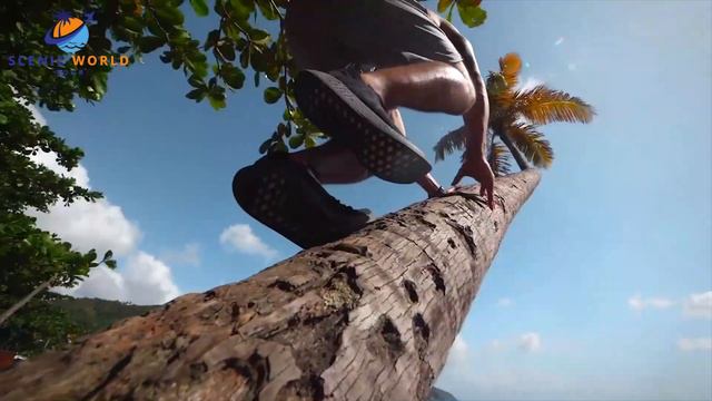 Most Beautiful Islands In The World | Travel Video