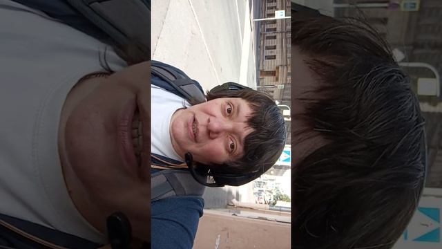 Проводница плюсы и минусы смотреть онлайн