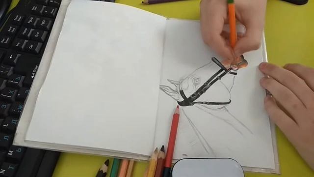 Horse SpeedPaint. - Рисование лошади смотреть онлайн