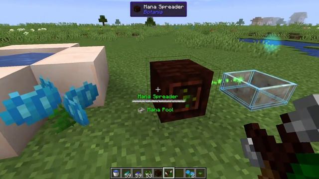 Botania: Hydroangeas