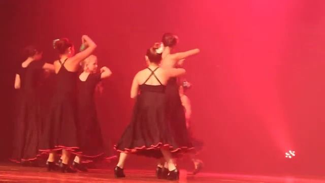 Romy Dances Flamenco