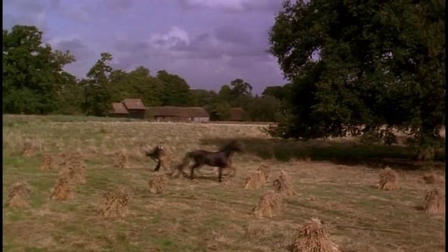 Про лошадь смотреть онлайн