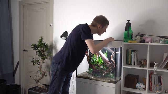 Оформление медленного травника Juwel Lido 120 смотреть онлайн