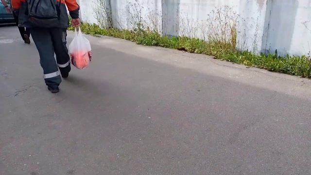 Электропоезд эт2м-056 Сообщением Будогощь Ладожский Вокзал Отправляется с платформы Мга смотреть онлайн