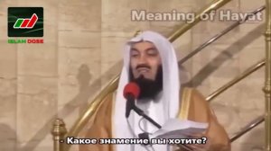 Истории Пророков 9 из 29 _ Салих (Мир ему) _ Муфтий Менк