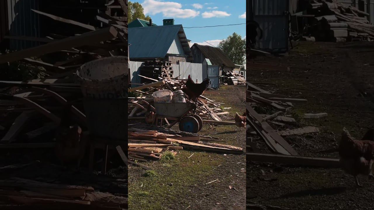 Прогулка по селу #природа #bashkortostan #село смотреть онлайн