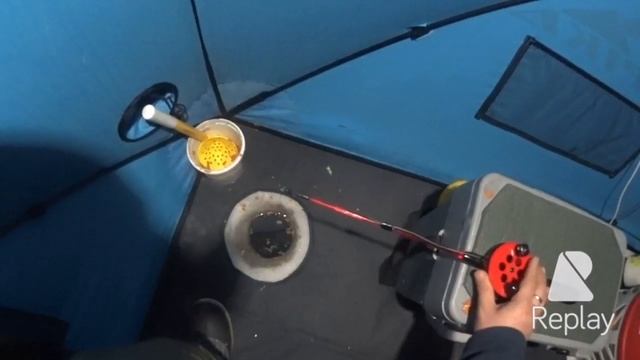 Рыбалка на рипуса, Уральская ряпушка, озеро Увильды 23 марта 2016 года смотреть онлайн