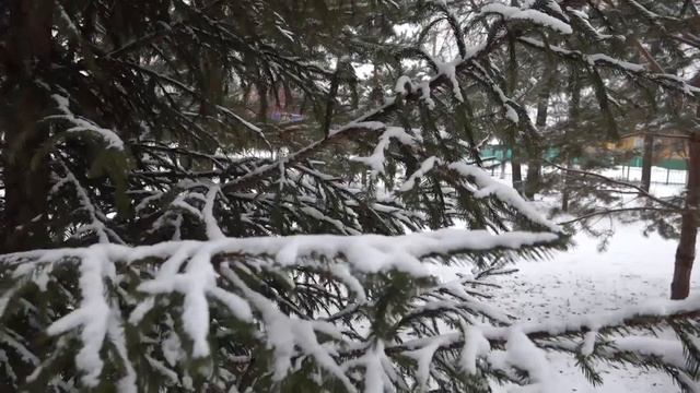 ИлишТВ. Ильшат Сибагатуллин "Ҡышҡы һағыш" смотреть онлайн
