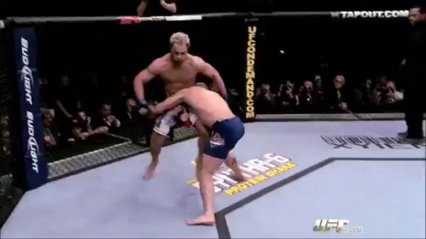 Смешанные единоборства