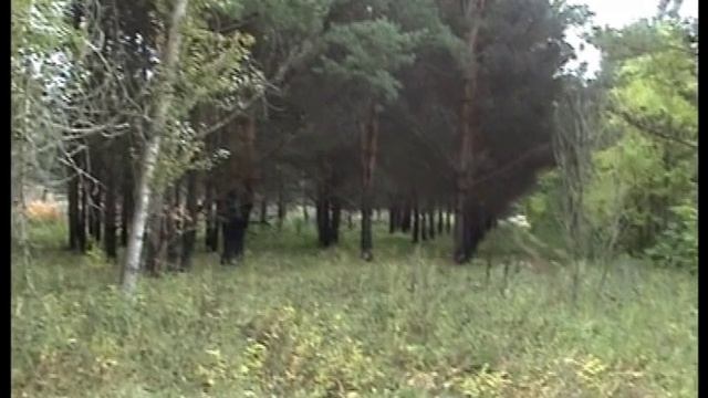 резинотехника 10 2008 г смотреть онлайн