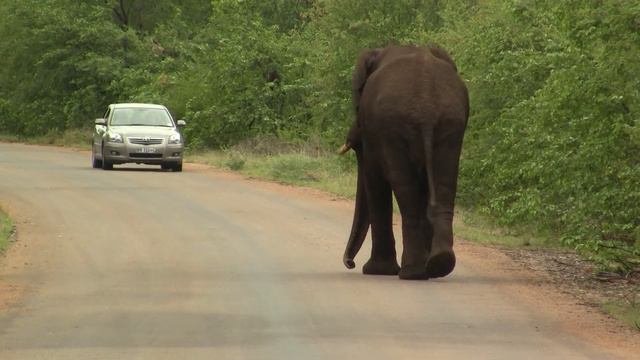 On The Road, Africa. На дороге, Африка (1423sp) смотреть онлайн