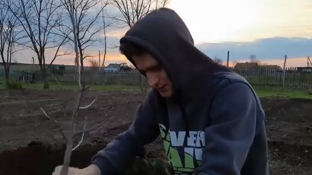 Неоконченная пьеса об анархическом существовании Артемона и Ко смотреть онлайн