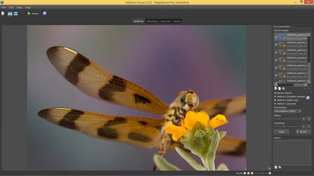 Helicon Focus - Photoshop Lightroom integration смотреть онлайн