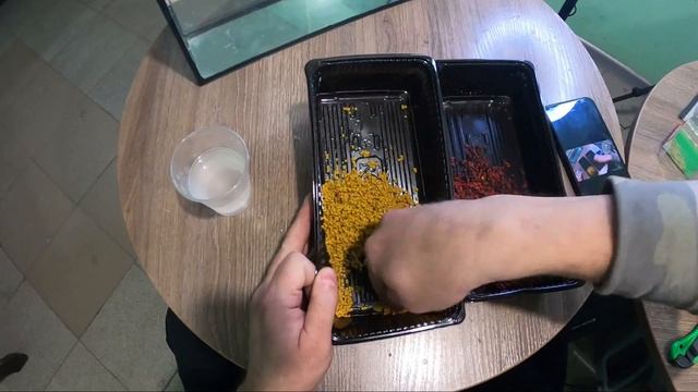 Ловля Карпа на Флэт,Финал Битвы Flat Method Pellets , Traper VS Технокарп