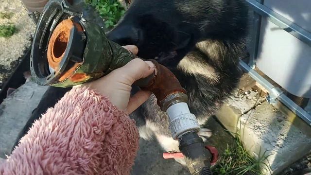 Погружной насос для полива. смотреть онлайн