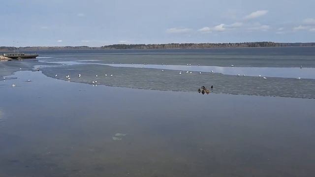 озеро Валдай смотреть онлайн