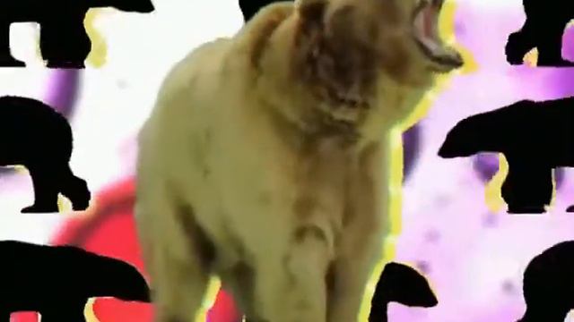 Видео категории Б 1 смотреть онлайн