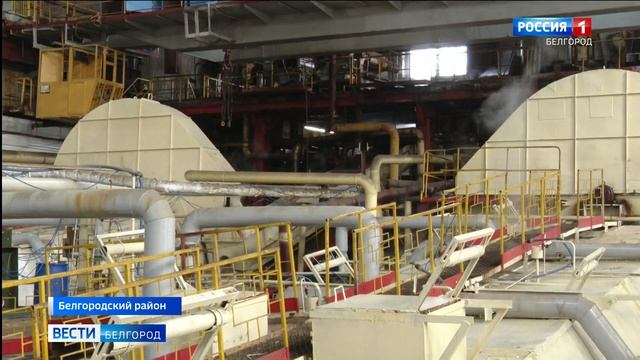 В Белгородской области продолжается переработка сахарной свеклы смотреть онлайн