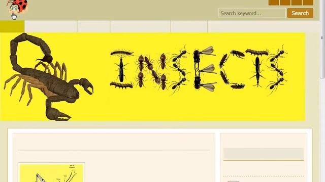 Create a dynamic website with admin panel in php & mysql - people per hour hourlie смотреть онлайн