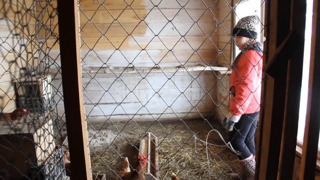 Курятник часть 2 Охлебинено смотреть онлайн