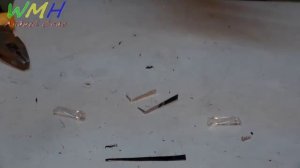 Ремонт зарядного устройства " Лягушка "