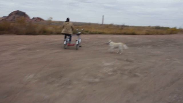 Веломобиль 2 Зоське уже нравится смотреть онлайн