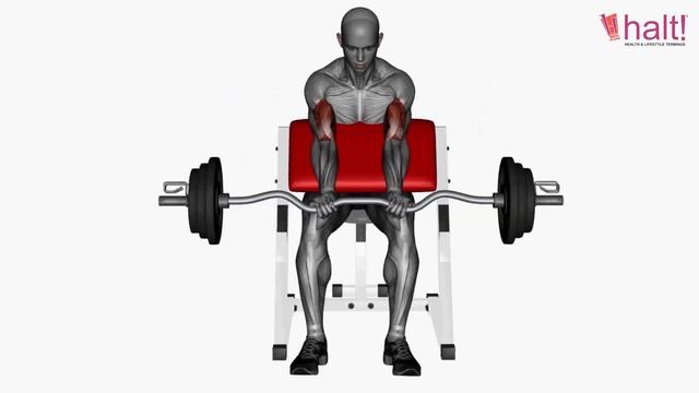 Biceps Workout | Exercise 34 | Preacher Curl Ezbar Close Grip | Halt Nutrition смотреть онлайн