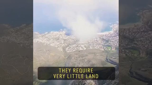 Молоко из личинок начали производить в Европе