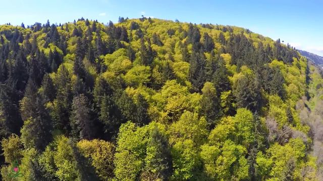 послушайте эту музыку и вам станет легче🌿Нежная музыка,успокаивает нервную систему и радует душу #3 смотреть онлайн