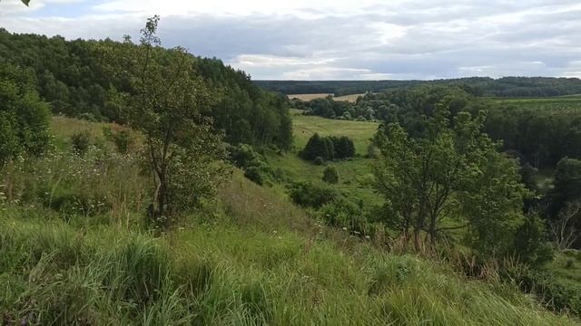 Алексин красивый город на берегу реки Ока смотреть онлайн