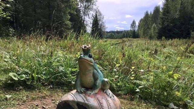 В гости к Васнецовым. Тропою сказок - художественный музей. Рябово - Кировская область. смотреть онлайн