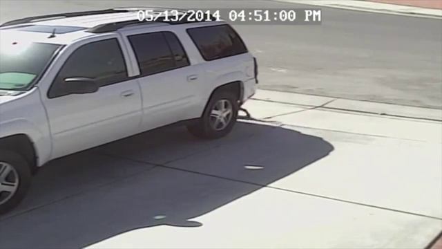 Кот спас ребёнка смотреть всем смотреть онлайн