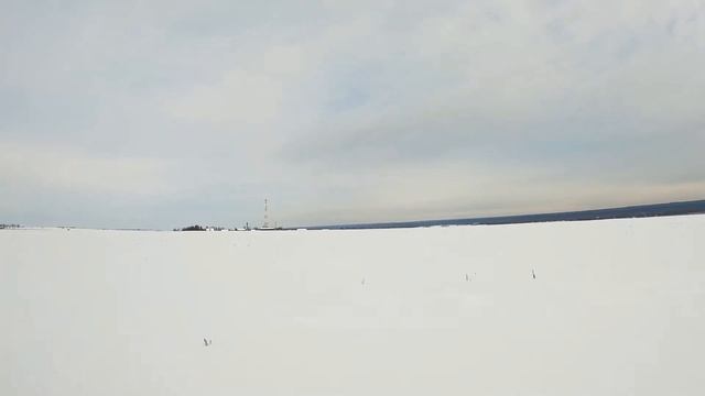 Yamaha VK Professional II смотреть онлайн