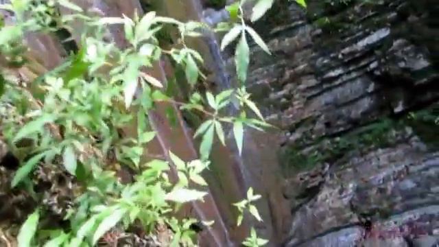 Прогулка на Гебиусские водопады смотреть онлайн