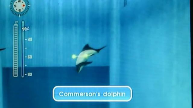 Endless Ocean 2: Blue World: Dolphins смотреть онлайн