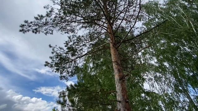 Самая дорогая Дача в Тюмени! смотреть онлайн