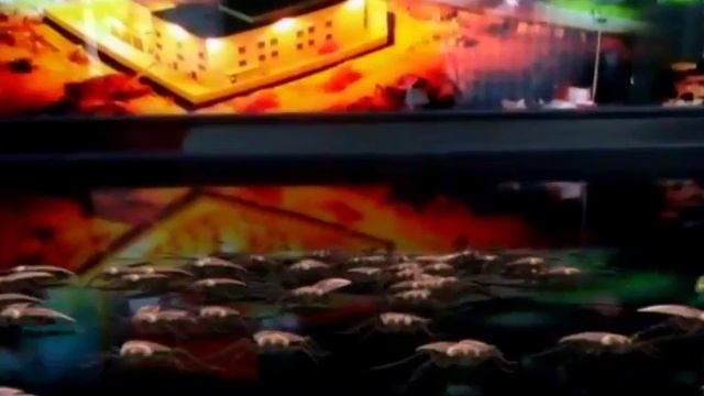 Эти тараканы ужас смотреть онлайн