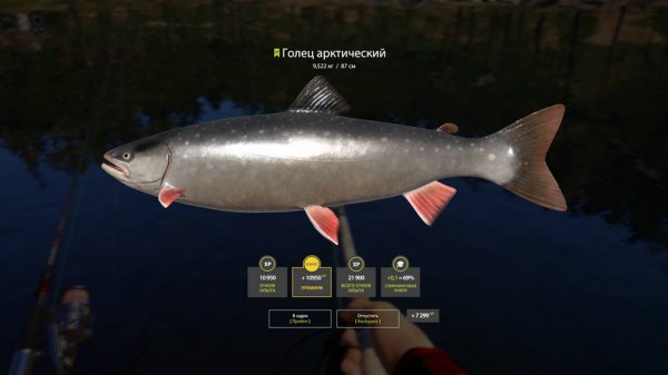 Русская Рыбалка 4 [PC 2018]  Куори ждёт нас