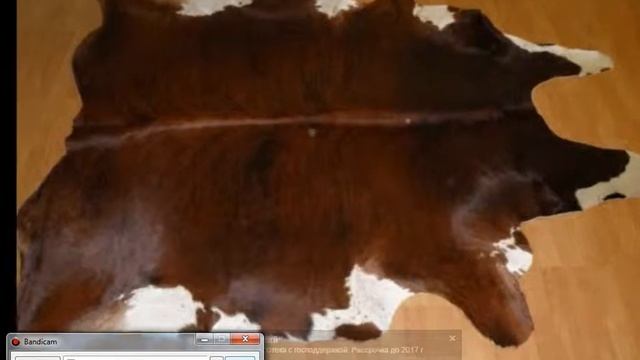 Коровья шкура на пол от Шкуркин.ру смотреть онлайн