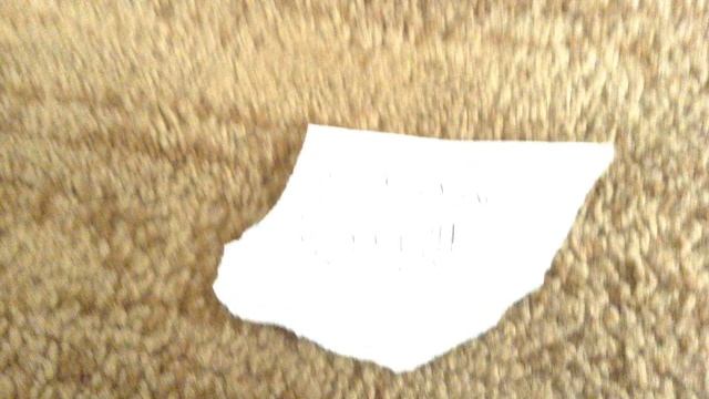 Alive food or not?Part 1????? смотреть онлайн