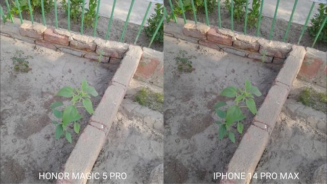 Honor Magic 5 Pro Vs iPhone 14 Pro Max Camera Test Comparison смотреть онлайн
