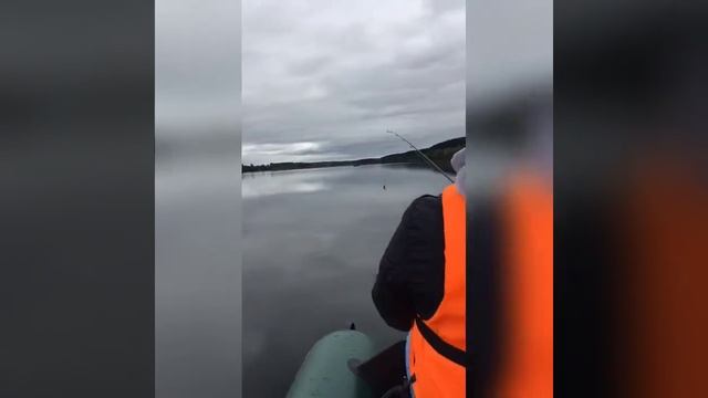 Озеро Красавица (оз.Каменка), Ленинградская обл.