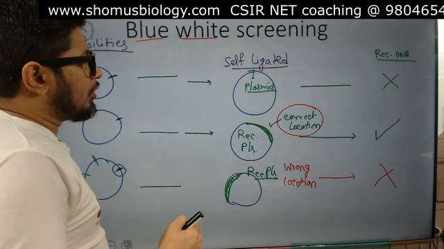 Blue white screening method | Lacz blue white screening explained | blue white screening principle смотреть онлайн