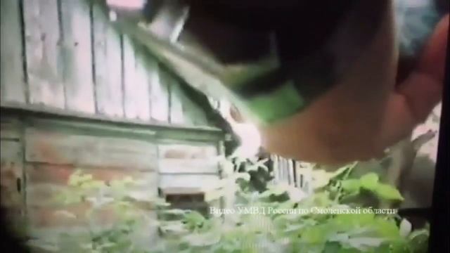 Сбыт оружия в Рославльском районе смотреть онлайн